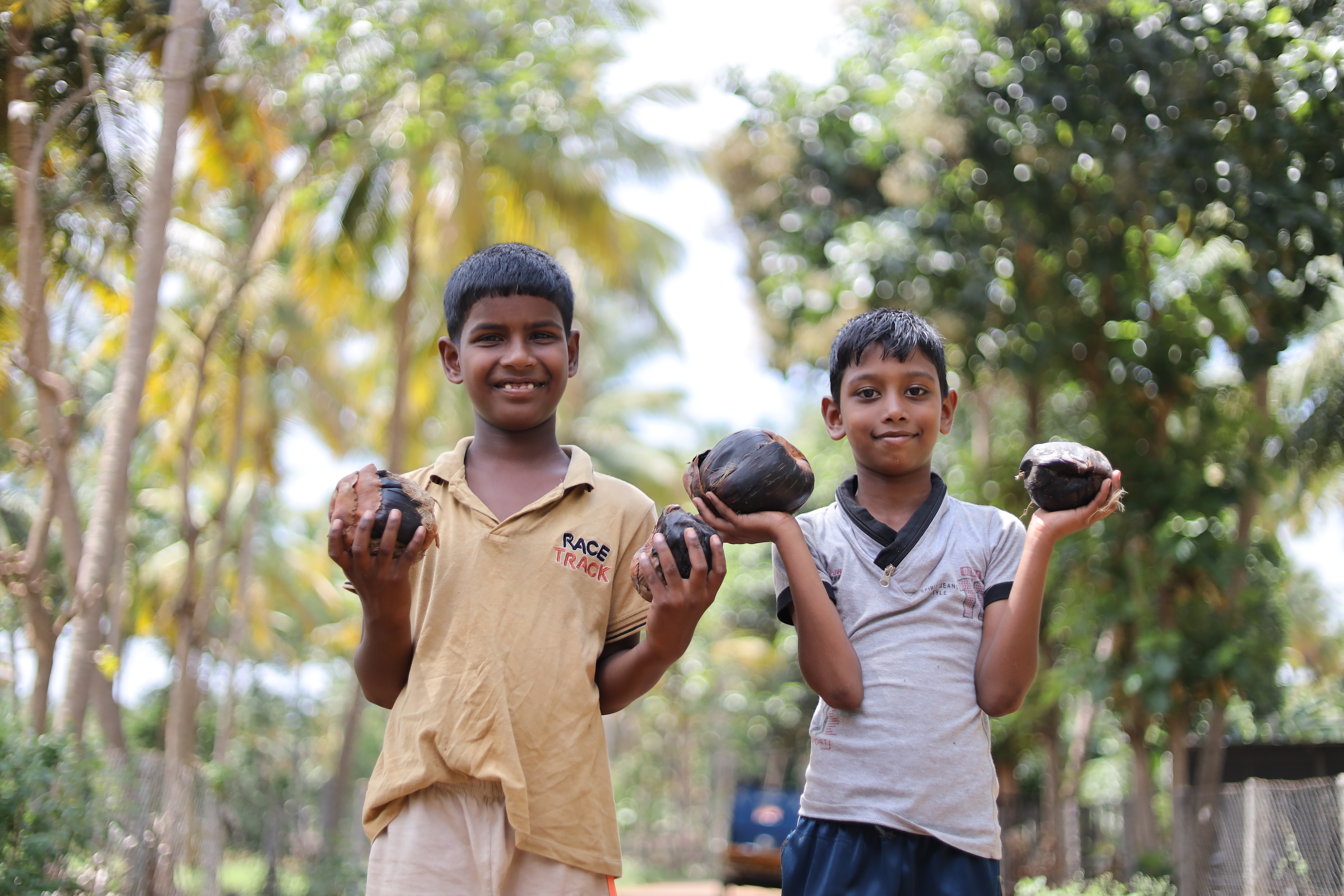 Palm Tree Planting Event