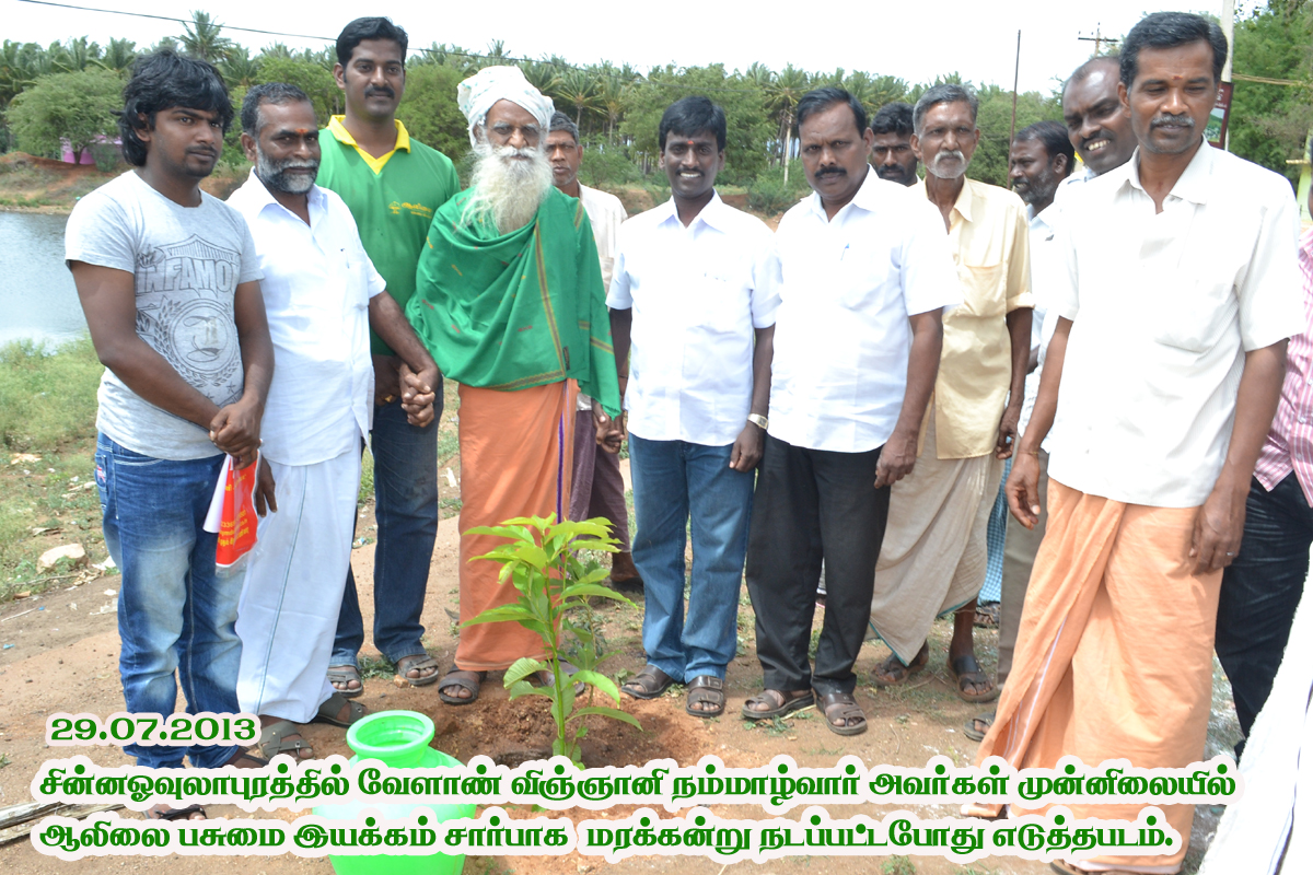 School children tree plantation drive by Aalilai Trust