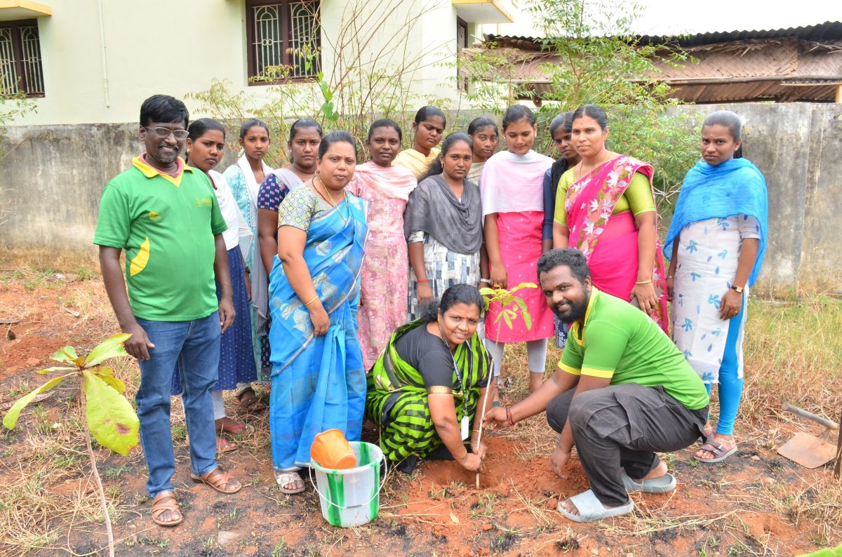 பசுமைத் தமிழ்நாடு இயக்கத் தினத்தை முன்னிட்டு மரக்கன்றுகள் நடவு?